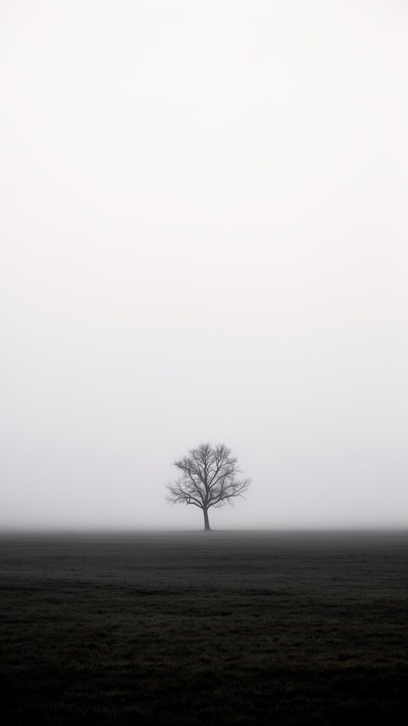 Árvore Solitária